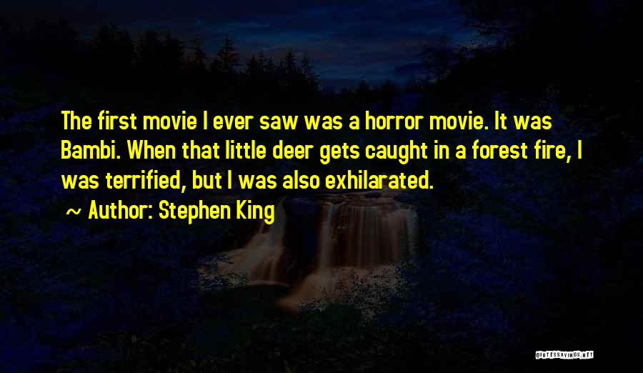 Exhilarated Quotes By Stephen King