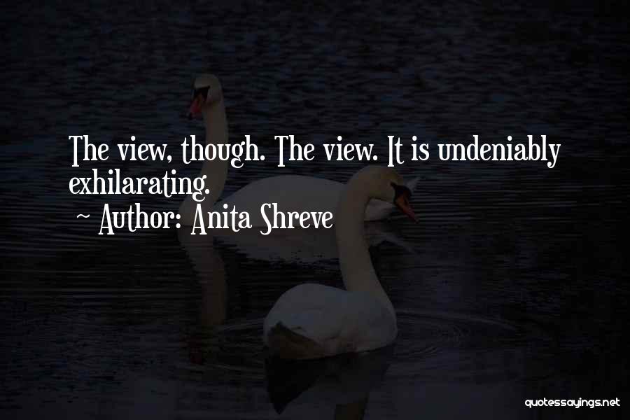 Exhilarating Quotes By Anita Shreve