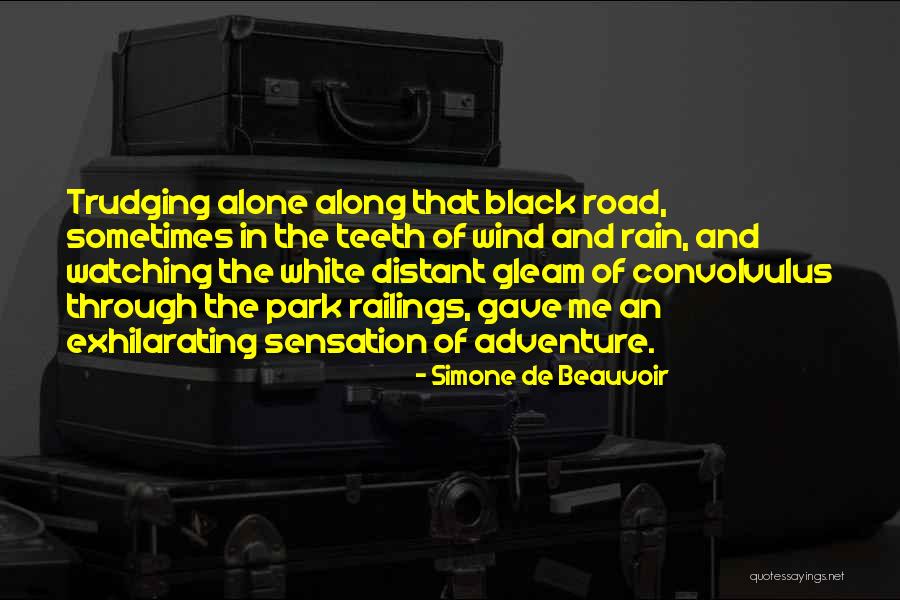 Exhilarating Quotes By Simone De Beauvoir