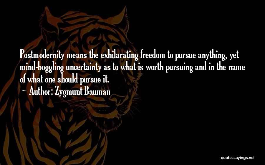 Exhilarating Quotes By Zygmunt Bauman
