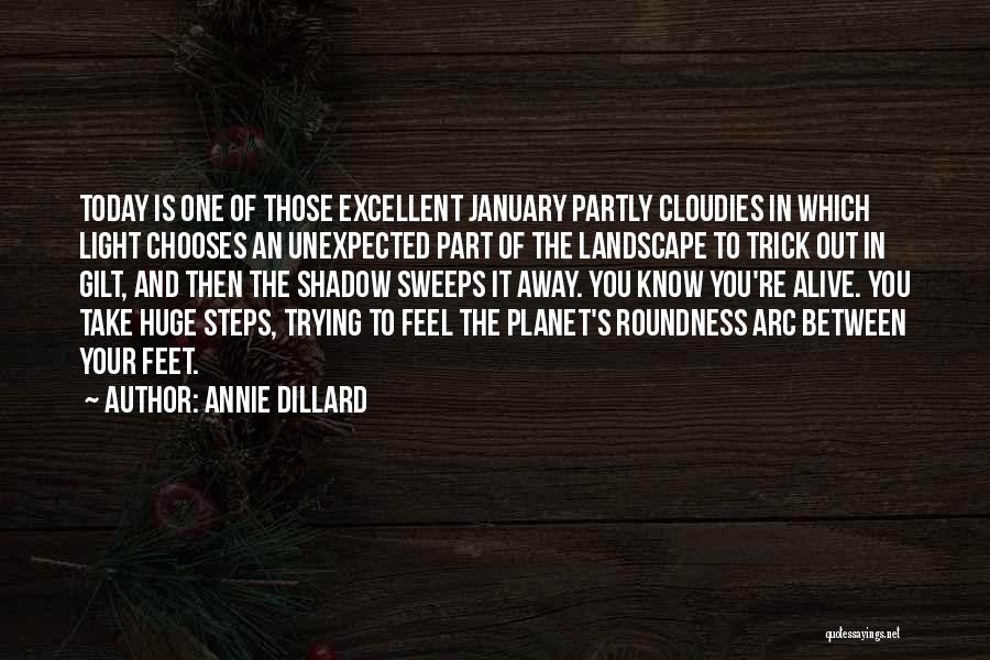 Exhilaration Quotes By Annie Dillard