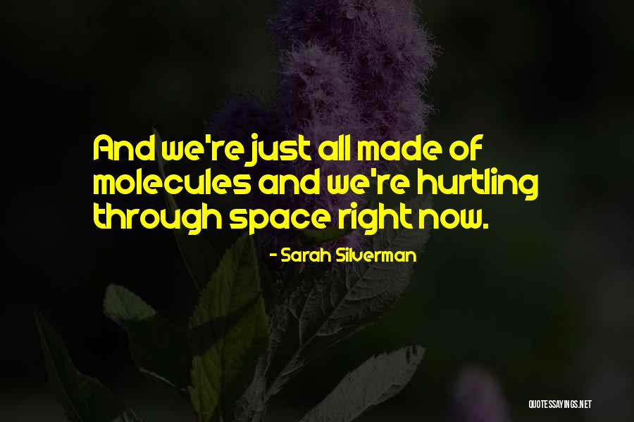 Exhorts Money Quotes By Sarah Silverman