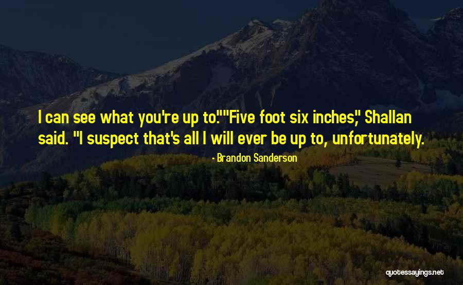 Exiguous Quotes By Brandon Sanderson Exiguous Quotes By Brandon Sanderson