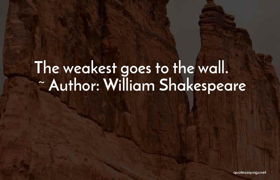 Exijo Quotes By William Shakespeare