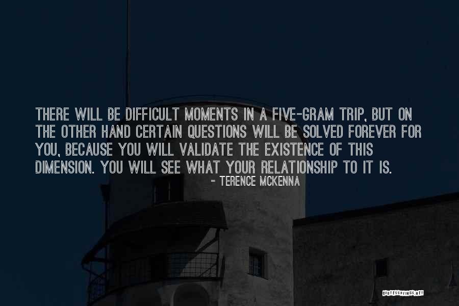 Existence Forever Quotes By Terence McKenna Existence Forever Quotes By Terence McKenna