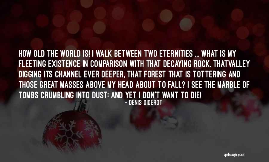 Existence Is Fleeting Quotes By Denis Diderot Existence Is Fleeting Quotes By Denis Diderot