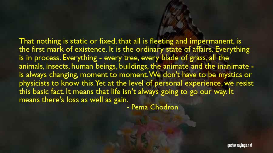 Existence Is Fleeting Quotes By Pema Chodron Existence Is Fleeting Quotes By Pema Chodron