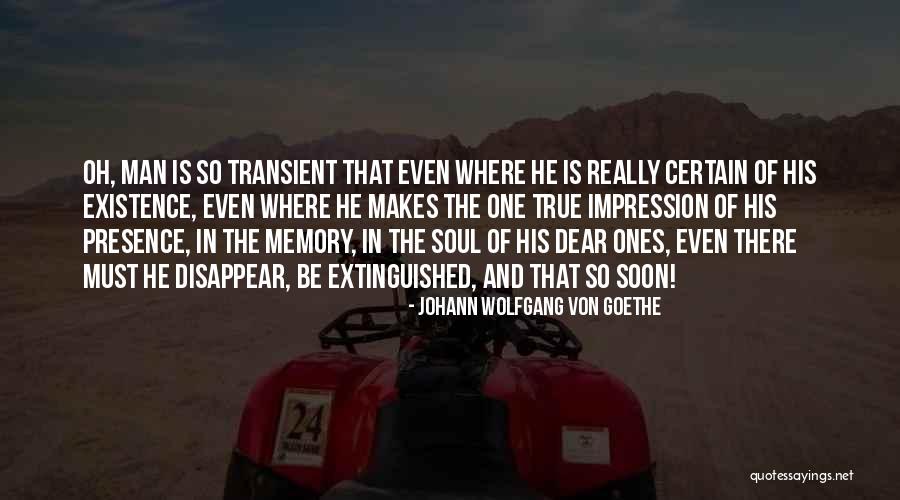 Existence Of Soul Quotes By Johann Wolfgang Von Goethe