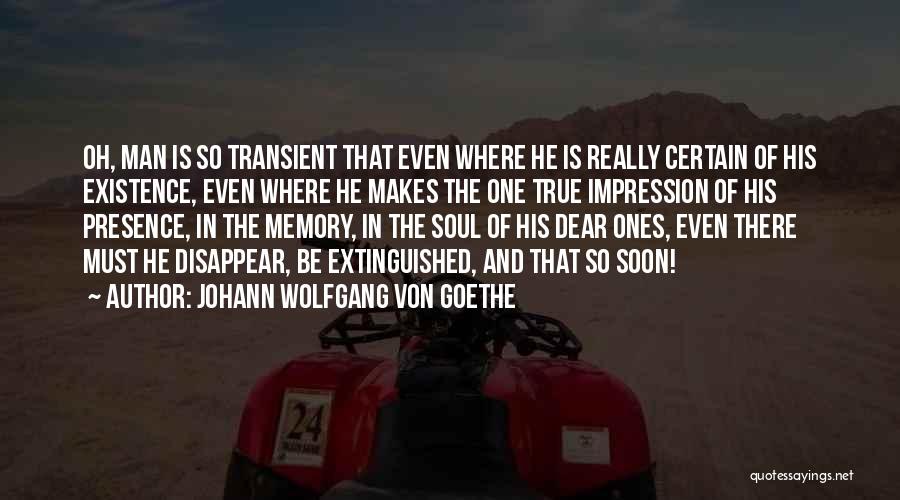 Existence Of The Soul Quotes By Johann Wolfgang Von Goethe
