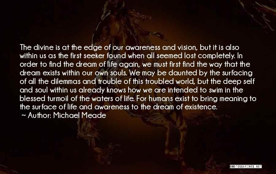 Existence Of The Soul Quotes By Michael Meade