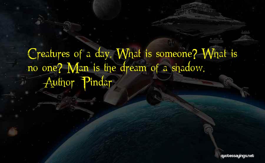Existence Philosophy Quotes By Pindar