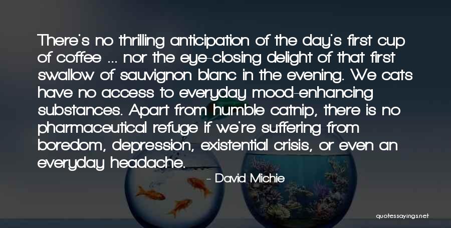 Existential Boredom Quotes By David Michie Existential Boredom Quotes By David Michie