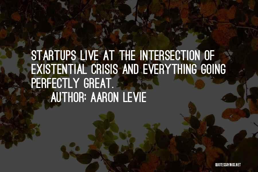 Existential Crisis Quotes By Aaron Levie