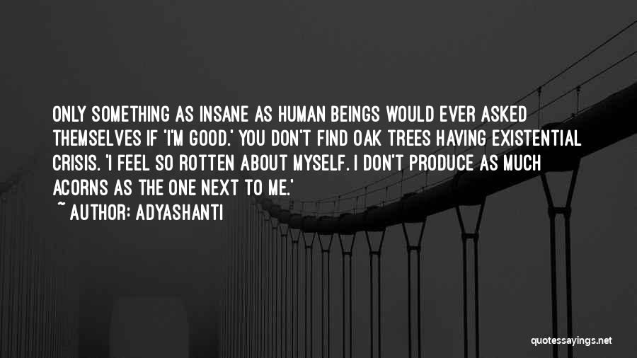 Existential Crisis Quotes By Adyashanti