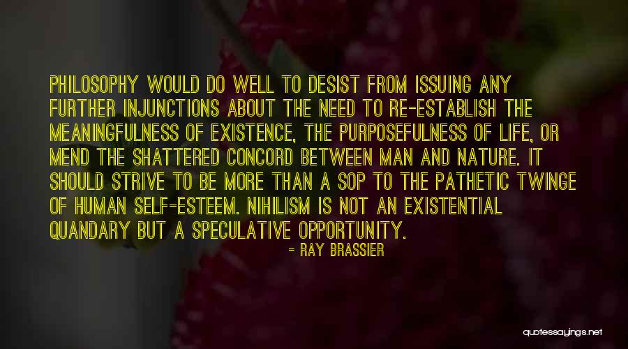 Existential Nihilism Quotes By Ray Brassier