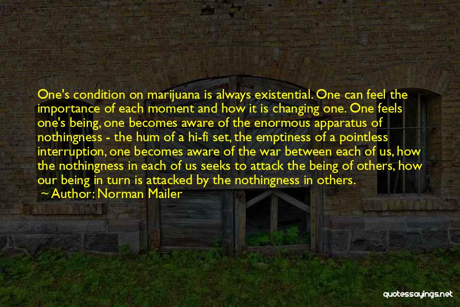 Existential Nothingness Quotes By Norman Mailer