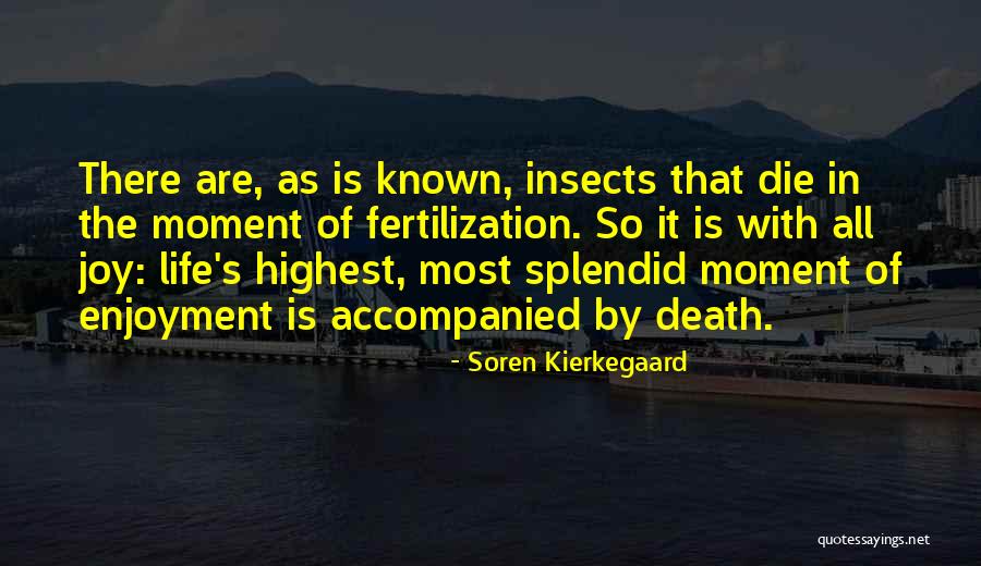 Existentialism Existence Quotes By Soren Kierkegaard Existentialism Existence Quotes By Soren Kierkegaard