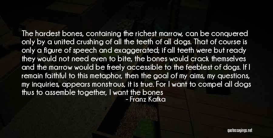 Existentialism Philosophy Quotes By Franz Kafka