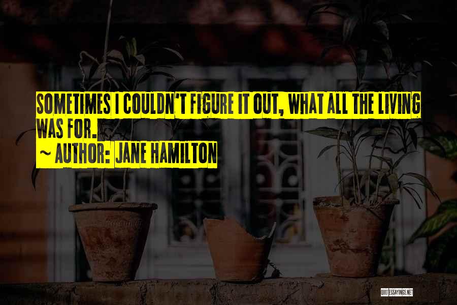 Existentialism Quotes By Jane Hamilton