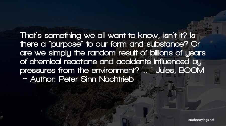 Existentialism Quotes By Peter Sinn Nachtrieb