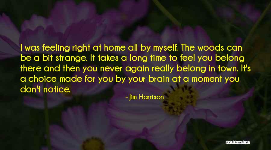 Existing Spelling Quotes By Jim Harrison Existing Spelling Quotes By Jim Harrison