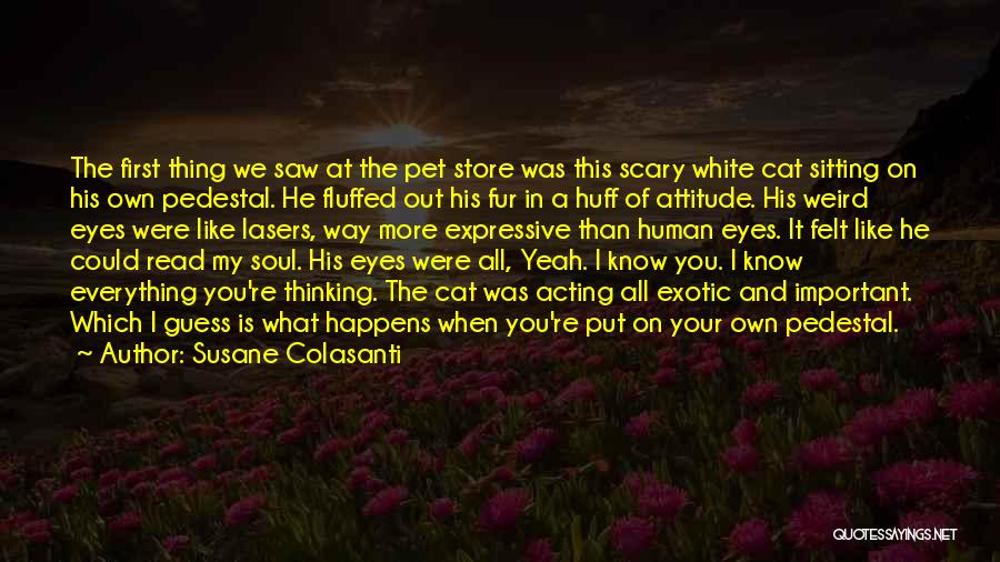 Exotic Eyes Quotes By Susane Colasanti