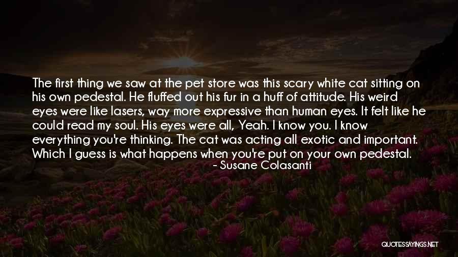 Exotic Pet Quotes By Susane Colasanti Exotic Pet Quotes By Susane Colasanti
