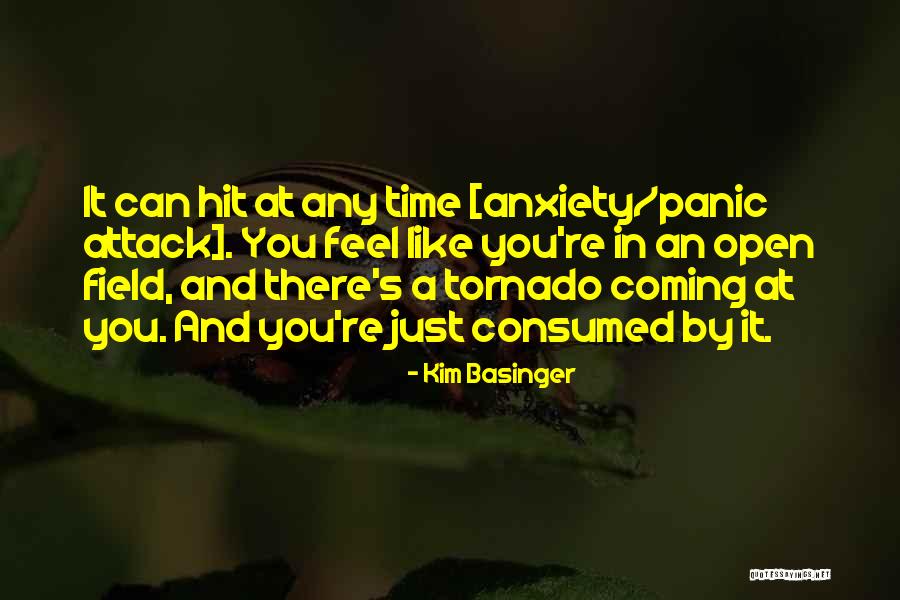 Exoticism Architecture Quotes By Kim Basinger
