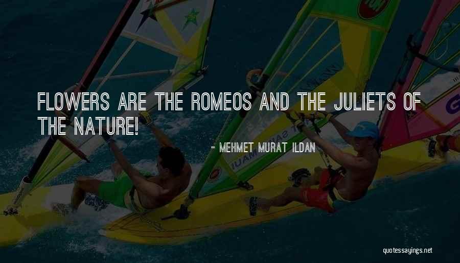 Exotique Describe Quotes By Mehmet Murat Ildan Exotique Describe Quotes By Mehmet Murat Ildan