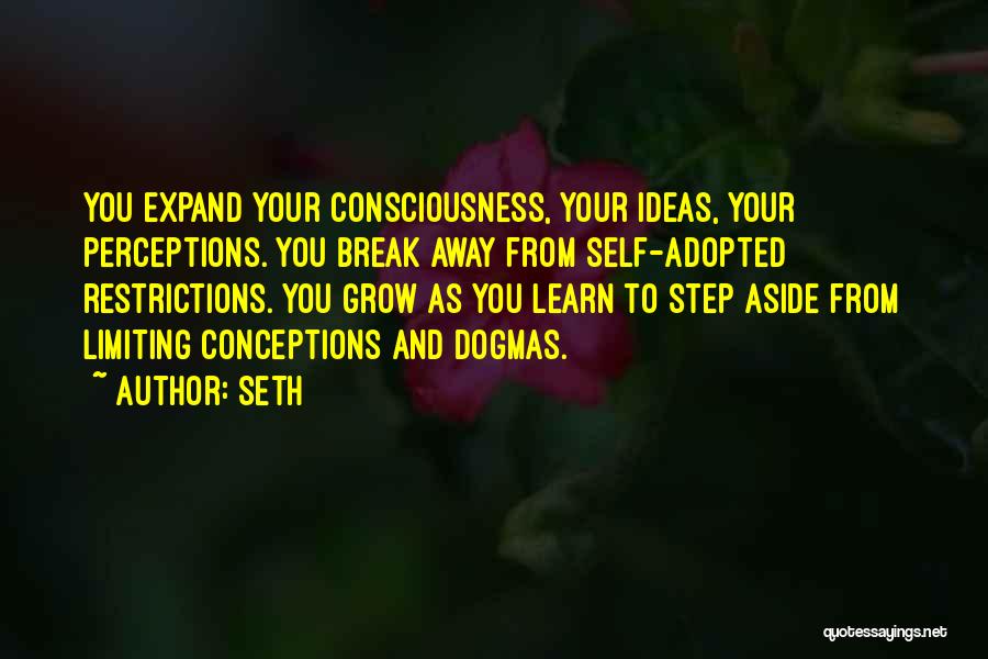 Expand Your Consciousness Quotes By Seth