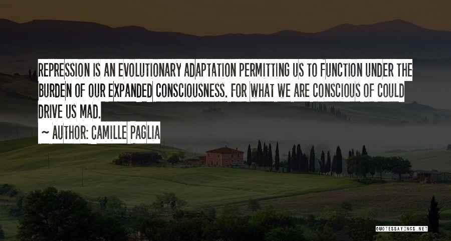 Expanded Consciousness Quotes By Camille Paglia