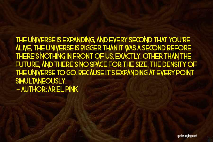 Expanding Universe Quotes By Ariel Pink