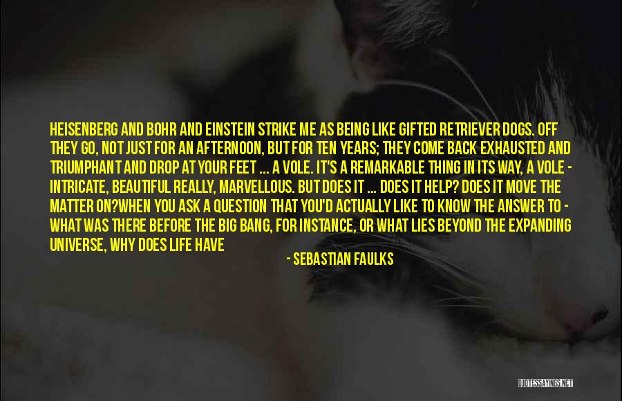 Expanding Universe Quotes By Sebastian Faulks Expanding Universe Quotes By Sebastian Faulks