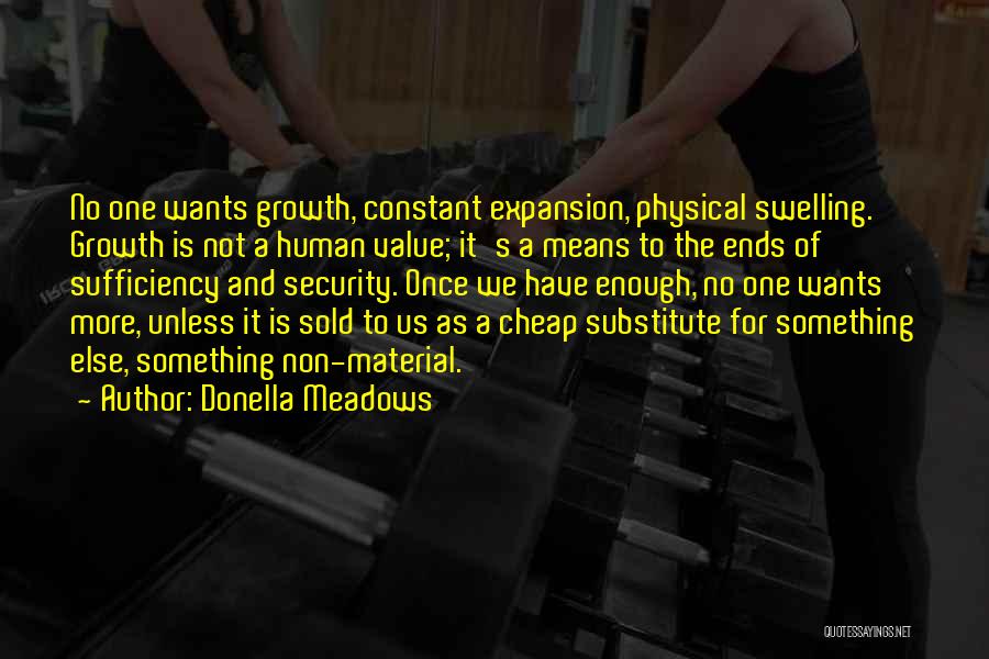 Expansion Growth Quotes By Donella Meadows