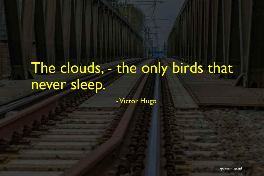 Expansionist Capacity Quotes By Victor Hugo Expansionist Capacity Quotes By Victor Hugo