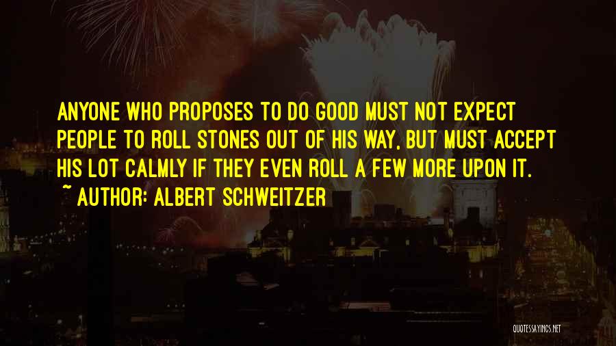 Expect Accept Quotes By Albert Schweitzer