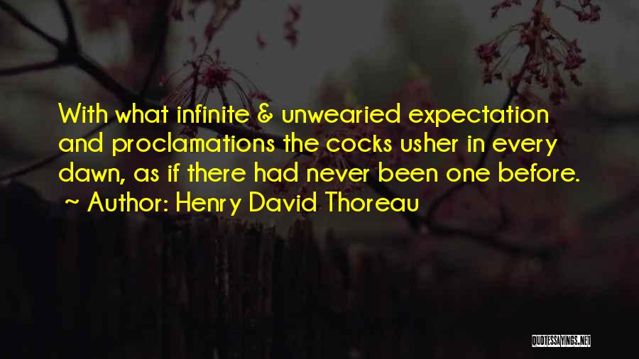 Expectation And Hope Quotes By Henry David Thoreau