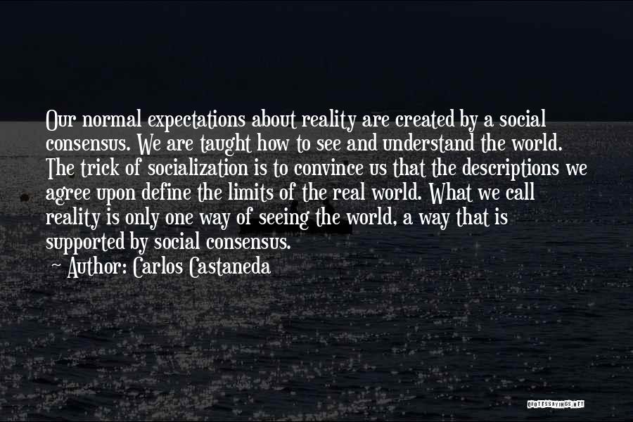 Expectations And Reality Quotes By Carlos Castaneda