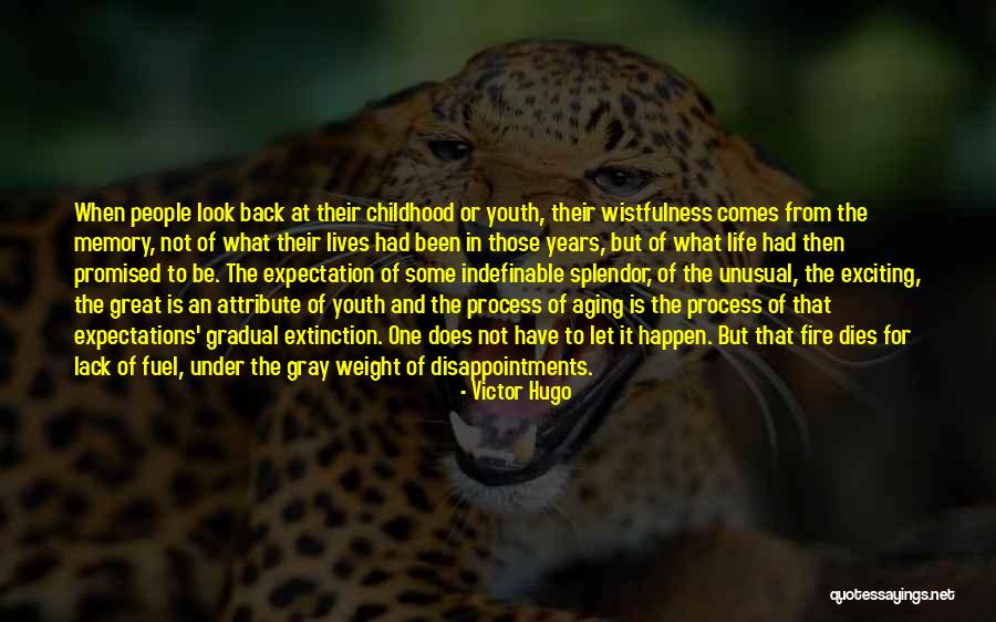 Expectations Disappointments Quotes By Victor Hugo Expectations Disappointments Quotes By Victor Hugo