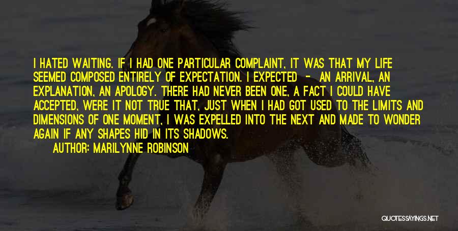 Expectations In Life Quotes By Marilynne Robinson