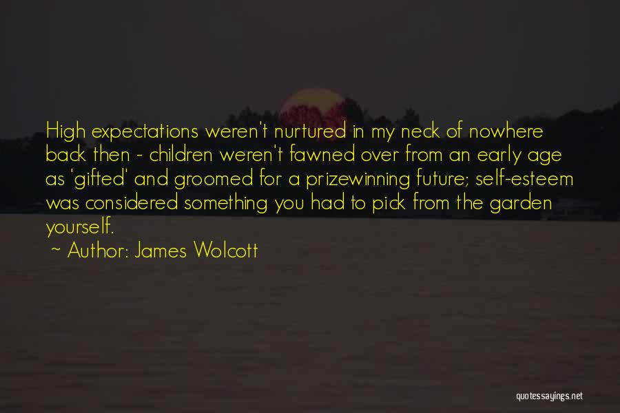 Expectations Of Yourself Quotes By James Wolcott