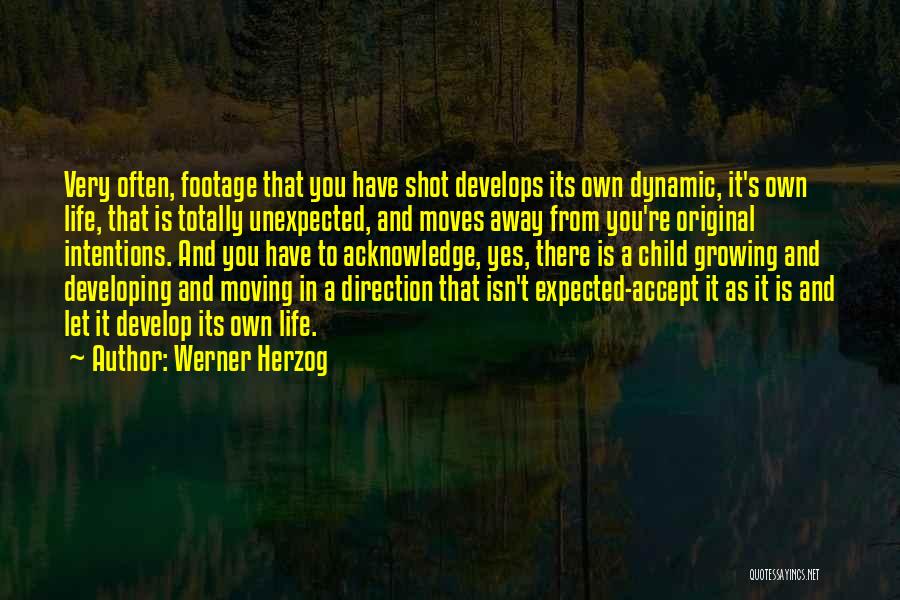 Expected Child Quotes By Werner Herzog