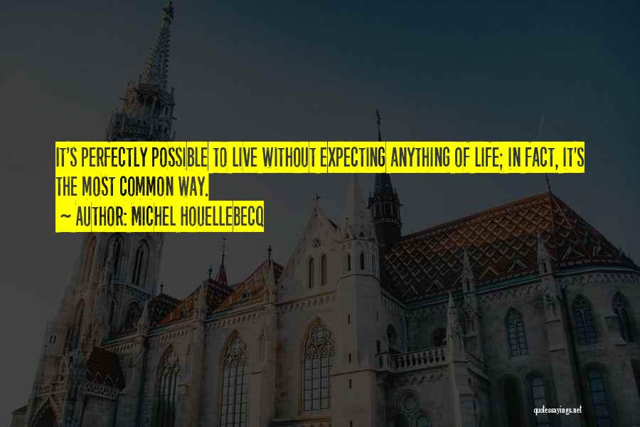 Expecting More From Life Quotes By Michel Houellebecq