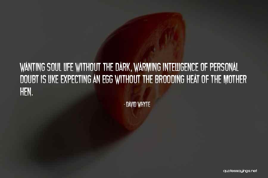 Expecting Mother Quotes By David Whyte Expecting Mother Quotes By David Whyte