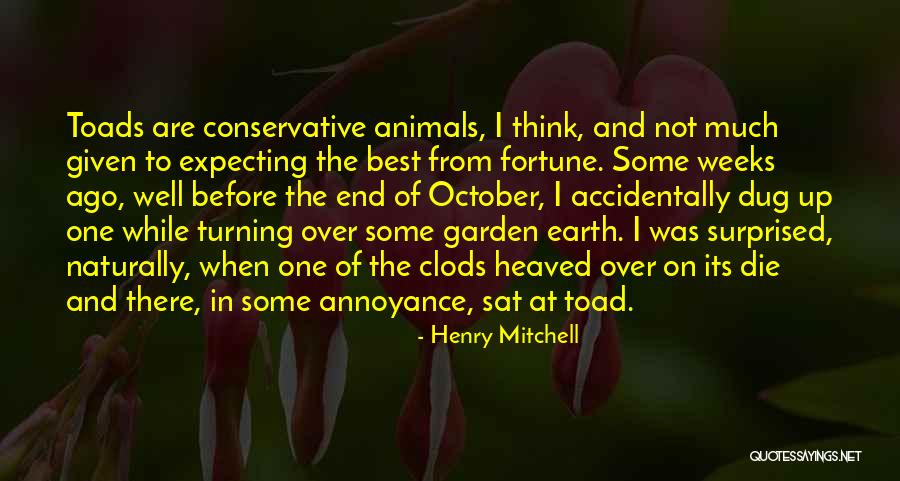 Expecting The Best Quotes By Henry Mitchell Expecting The Best Quotes By Henry Mitchell