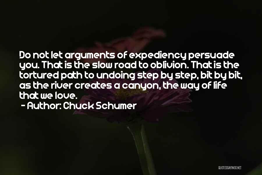 Expediency Quotes By Chuck Schumer