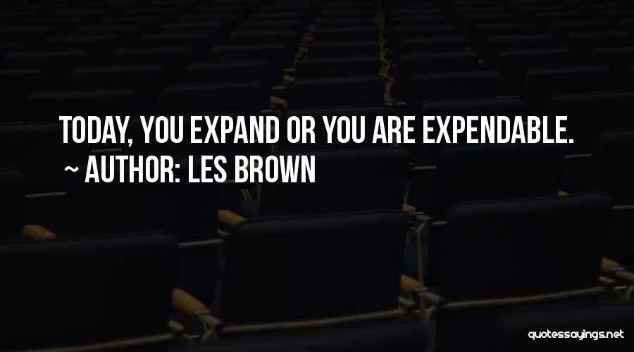 Expendable Quotes By Les Brown