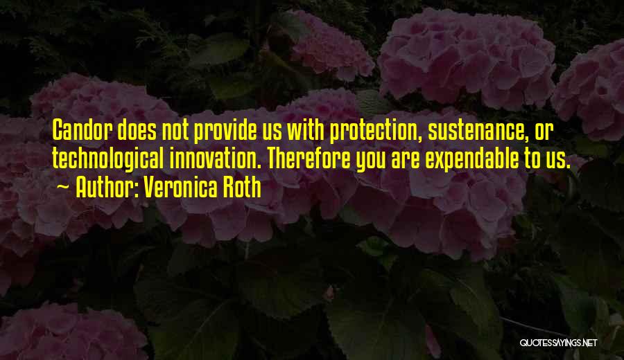 Expendable Quotes By Veronica Roth