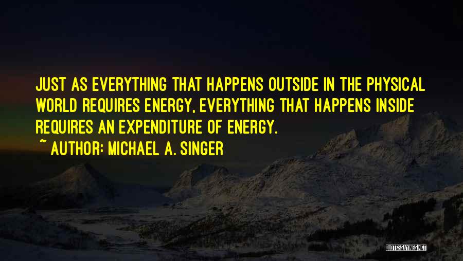 Expenditure Quotes By Michael A. Singer