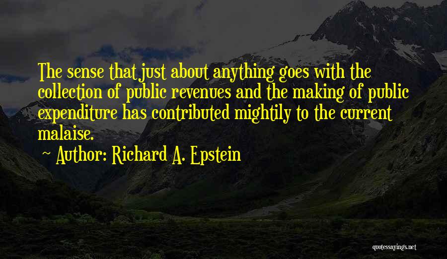 Expenditure Quotes By Richard A. Epstein